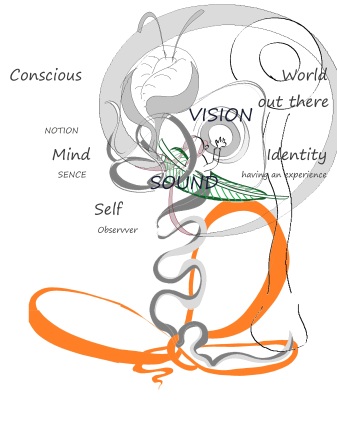 three bodies; conscious, mind wot + shape labelled cog 2 vis sound.jpg
